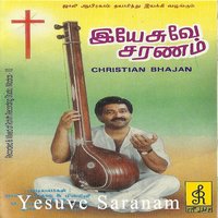 Paavam Pokka - Jollee Abraham