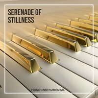 Piano Study Music - Piano Instrumental