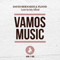 Lost in My Mind - David Bernardi & Flood