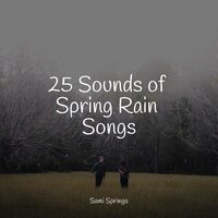 Flowing Rains - Calm Down & Elements of Nature & Massagem