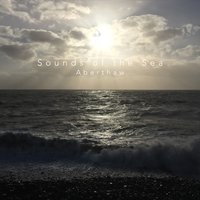 Gliding Guls - Sounds of the Sea
