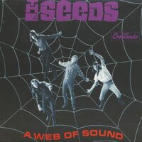 The Wind Blows Your Hair - The Seeds
