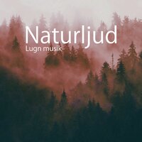 Bebis djup sömn - Lugn Musik Atmosfär