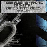 Birds Into Bees - Tiger Fleet Symphonic Orchestra