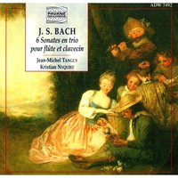 Sonata No. 3 in D Minor, After BWV 527: I. Andante - Kristian Nyquist & Jean-Michel Tanguy & Johann Sebastian Bach