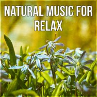 Natural Music (Yoga) - Serenity Music Relaxation