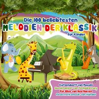 Variationen für Violoncello & Klavier - Jörg Metzger & Dieter Goldman