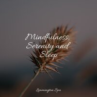 Welness and Calmness - Winds and Oceans & Academia de Música para Massagem Relaxamento & Reiki Tribe