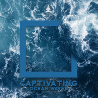 Seagulls and Soft Waves - Relaxation Meditation Songs Divine