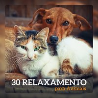 Sleep Music - Pet Relax Academy