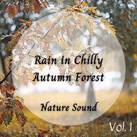 Sleep Rain At Midnight - Rainfall & Massage Music & Classical Music For Work