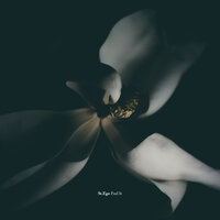 Pretty Kisses - St.Ego