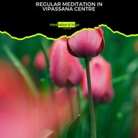 Sense the Tranquility - Relaxing Spa Sessions