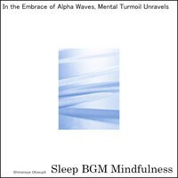 Calm Reflections in the Heart of Nature's Lullaby - Sleep BGM Mindfulness