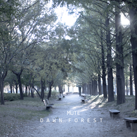 Forest Walk - MUTe