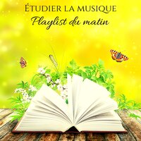 De bonnes ondes - Exam Study Background Music Consort