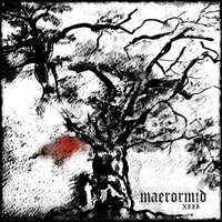 Senza Voce - Maerormid