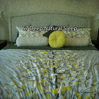 Natural Sleeping Ambience - Musica para Dormir Dream House