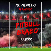 Flamengo Só Pitbull Brabo - Deejay Lucca & MC Neneco