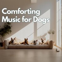 Relaxing Music for Pets - Peaceful Music for Dogs & Dog Anxiety Music