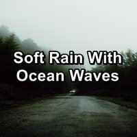 Rain Sound To Help with Insomnia Loopable for 20 Hours - Nature Recordings & Sounds of Nature White Noise Sound Effects & Nature Spirit