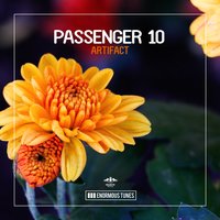 Artifact - Passenger 10