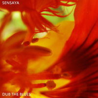 Zen Fly On Mars - Sensaya