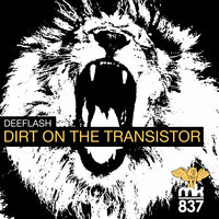 Dirt On The Transistor - Deeflash