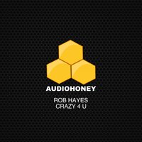 Crazy 4 U - Rob Hayes