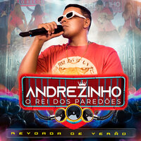 Oh Maravilha - Andrezinho o Rei dos Paredões & Mc Magrinho