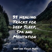 Droplets of Wonder - Sounds of Nature White Noise for Mindfulness Meditation and Relaxation & Sounds of Nature White Noise Sound Effects & Ambient Forest