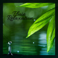 Vagues l'océan - Spa Musique Massage