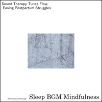 Echoes of Health and Vitality - Sleep BGM Mindfulness
