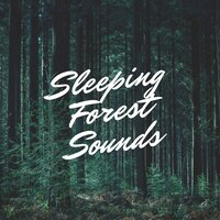 Someone Is Sleeping - Emmanuel Forest