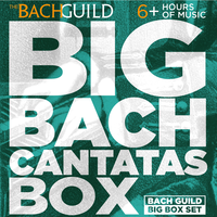 Easter Oratorio (Kommt, eilet und laufet, ihr flüchtigen Füße), BWV249: II. Adagio - Orchestra Of The Bach Guild & Felix Prohaska & Choir Of The Bach Guild & Johann Sebastian Bach