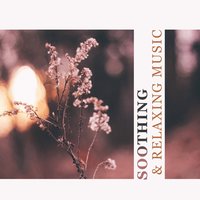 You Can Do Everything - Outside Broadcast Recordings