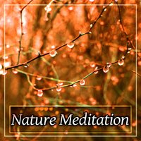 Stone Garden - Healing Power Natural Sounds Oasis