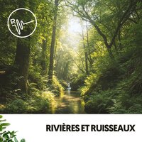 Rêves de plumes - Ruido Blanco Hart & Rivers and Streams & Musik für die Arbeit