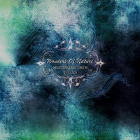 Tides of Oneiric Darkness - Wonders Of Nature