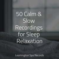 Calm Spa Music - Namaste Healing Yoga & Naturaleza Relajacion & Sleep Sounds Of Nature