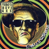Kyntäjän Poika-Lentäjän Poika - Turo's Hevi Gee