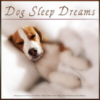 Dog Therapy Music - Dog Sleep Dreams & Dog Music & Music for Dogs