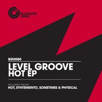 Physical - Level Groove