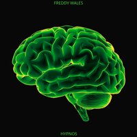 Stage 5: Emotion - Freddy Wales