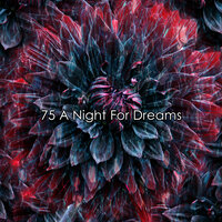 Wrapped in Comfort - White Noise Baby Sleep