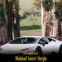 Shahzad Nazeer Margia - Abdul Qadar Azad