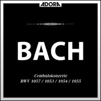 Cembalokonzert in D Major, BWV 1054: II. Adago e piano sempre - Württembergisches Kammerorchester & Jörg Faerber & Christiane Jaccottet & Johann Sebastian Bach