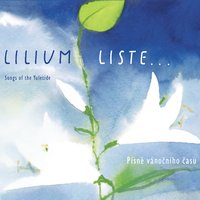 Ztratila se nám ovečka - Lilium Liste