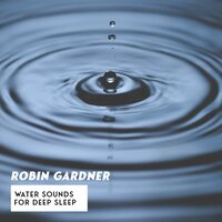 Waves - Robin Gardner