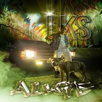 Flash - Lks